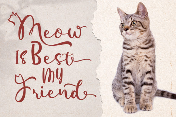 Bettie Font - Preview 5