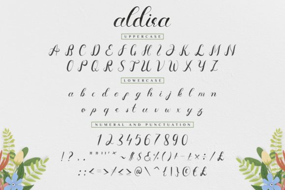 Aldira Font - Preview 4
