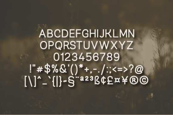Belyn Font - Preview 1
