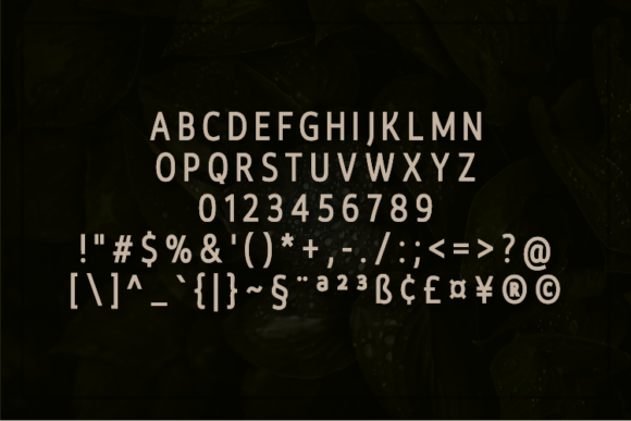 De'Fleud Font - Preview 1
