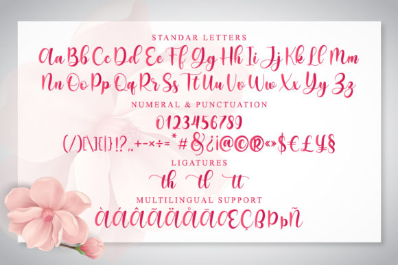 Dorothy Font - Preview 3