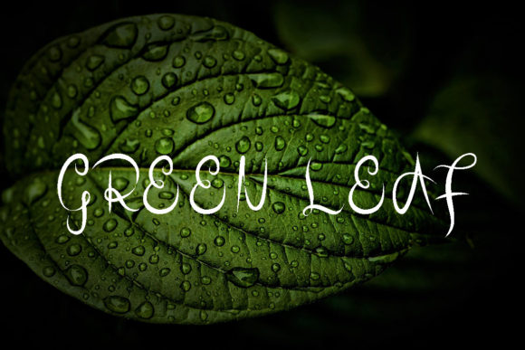 HelastiK Font PNG with transparent background - Preview 4