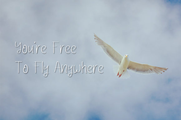 Lafitte Font PNG with transparent background - Preview 2