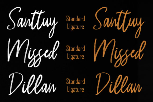 Rassty Brush Script Font PNG with transparent background - Preview 1