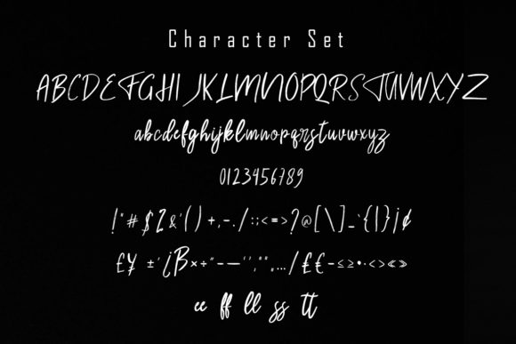 Rassty Brush Script Font PNG with transparent background - Preview 6