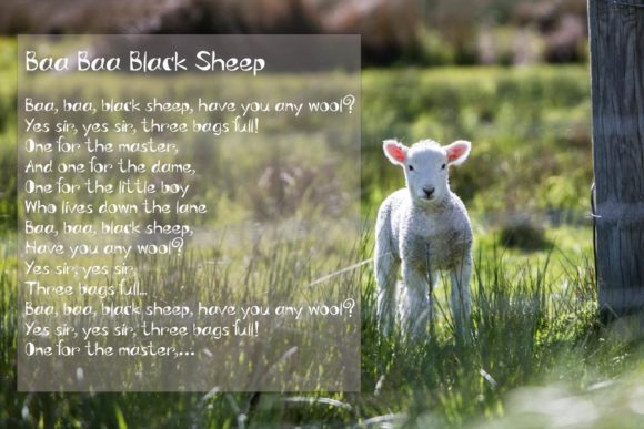 Sheep Sheep Font PNG with transparent background - Preview 1