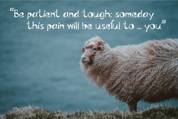 Sheep Sheep Font PNG with transparent background - Preview 2
