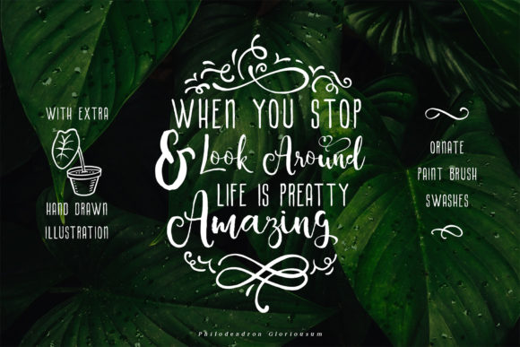 Alocasia Font - Preview 2