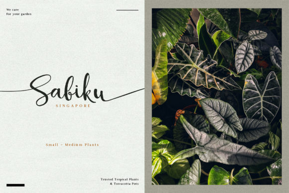 Alocasia Font - Preview 3