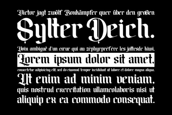 Amika Font - Preview 5