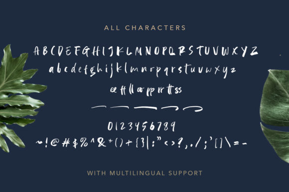 Beautiful Weakness Font - Preview 5