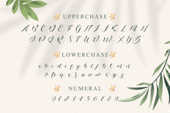 Khansa Font - Preview 1