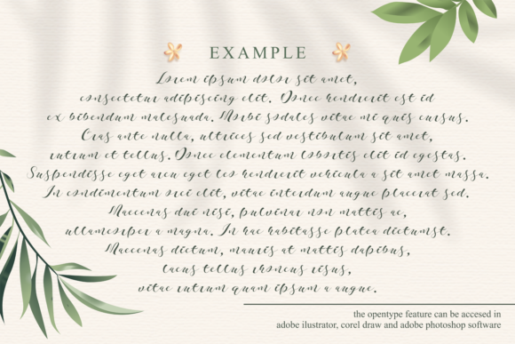 Khansa Font - Preview 3