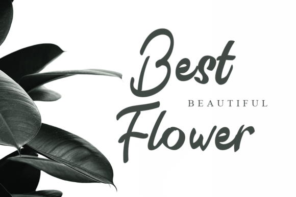 Qistis Blistist Font font preview - 1