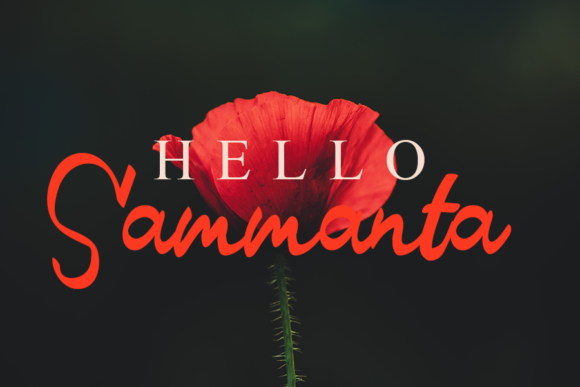 Qistis Blistist Font font preview - 3