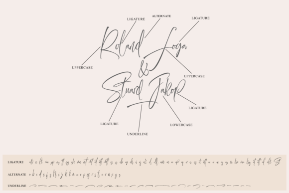 Ferdian Font - Preview 5