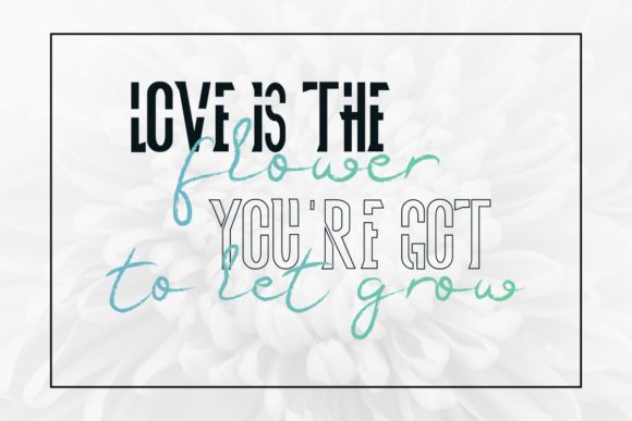 Guest Star Font - Preview 6