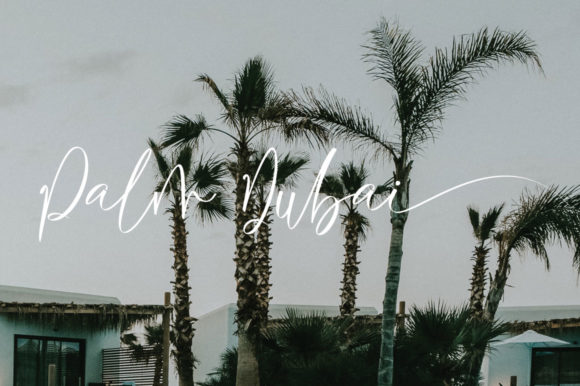 Palmtrees Font PNG with transparent background - Preview 6