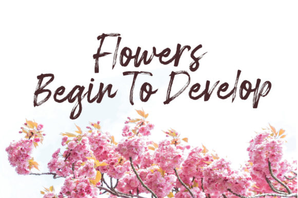 Bonthell Font - Preview 4