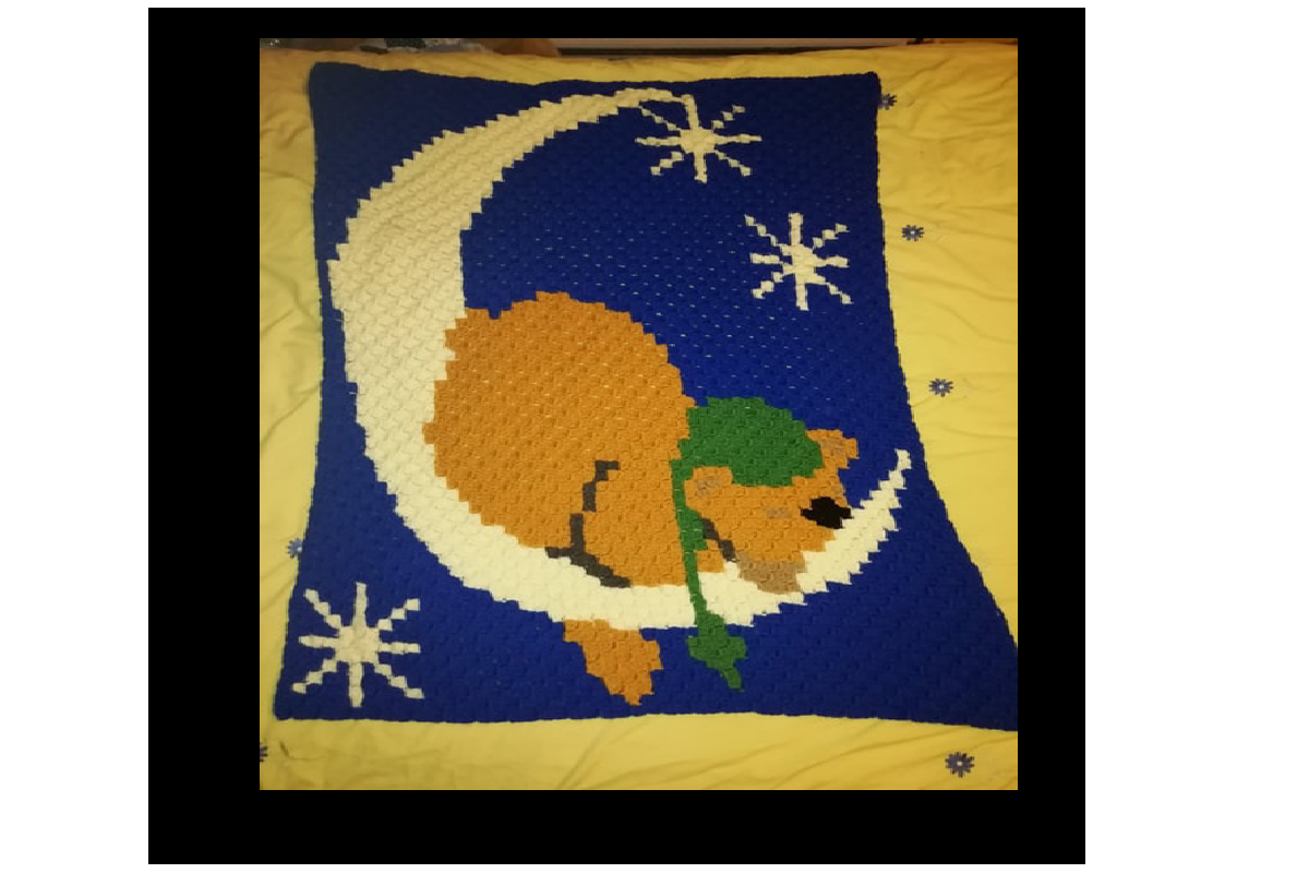 Bear on Moon C2c Blanket Pattern