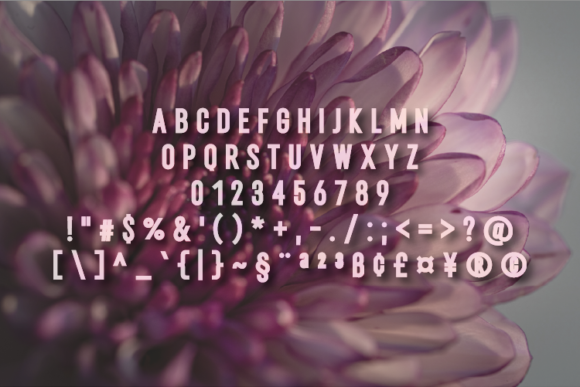 Beltran Font - Preview 1