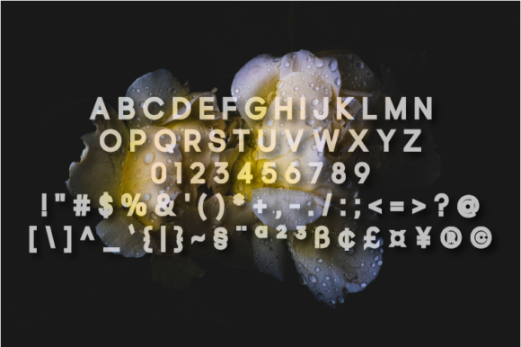 Blevin Font - Preview 1