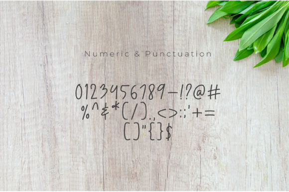 Cetekopi Font - Preview 3