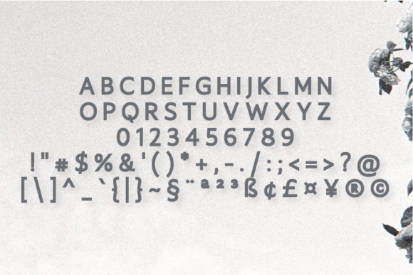 Eryck Font - Preview 1