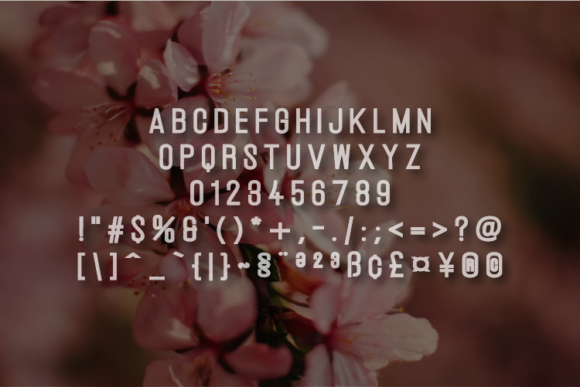 Ferose Font - Preview 1
