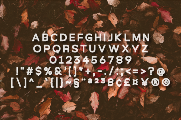 Hynho Font - Preview 1