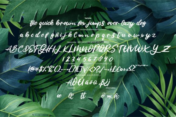 Jalie Font PNG with transparent background - Preview 5