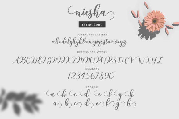 Niesha Font PNG with transparent background - Preview 4