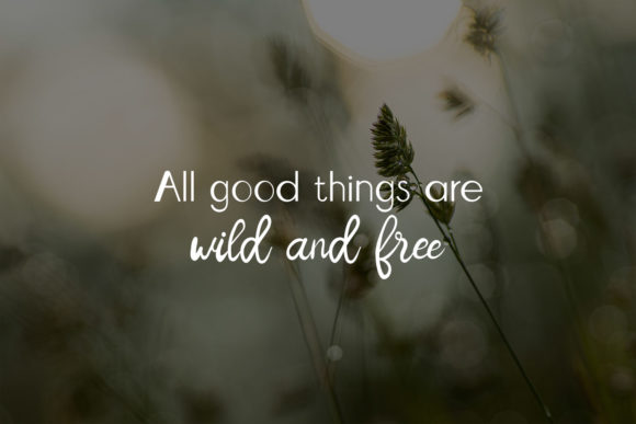 Nila Ambar Font PNG with transparent background - Preview 3