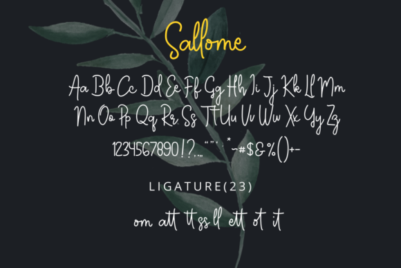 Sallome Font font preview - 6