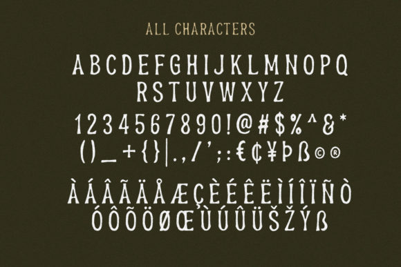 Branders Font - Preview 5