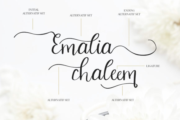 Celinetta Font - Preview 2