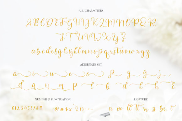 Celinetta Font - Preview 4