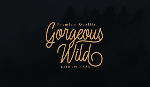 Fasterox Font PNG with transparent background - Preview 2