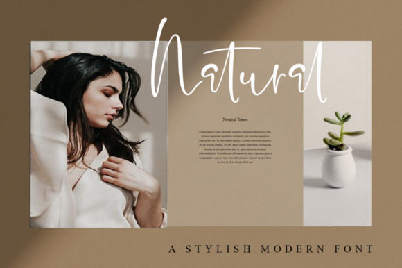 Collection Font - Preview 4