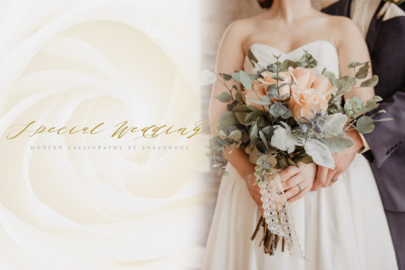 Authumn Sofia Font - Preview 1