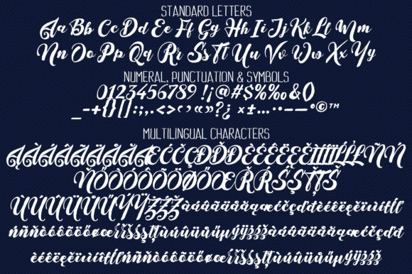 Aristonia Font - Preview 5