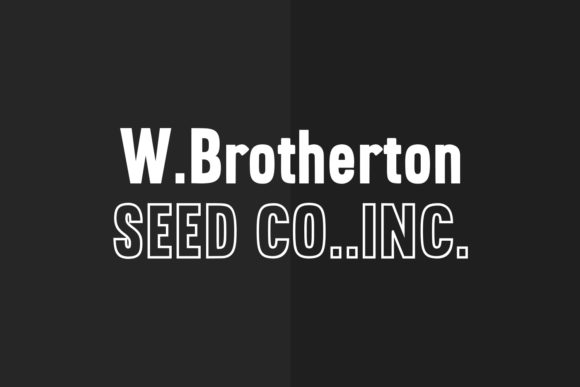 Brotherton Font - Preview 2