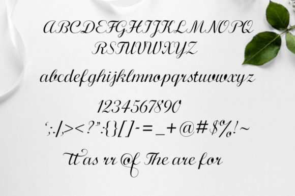 Calligraphy Script Font - Preview 4
