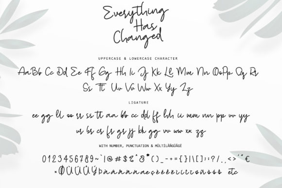Everything Has Changed Font - Preview 6