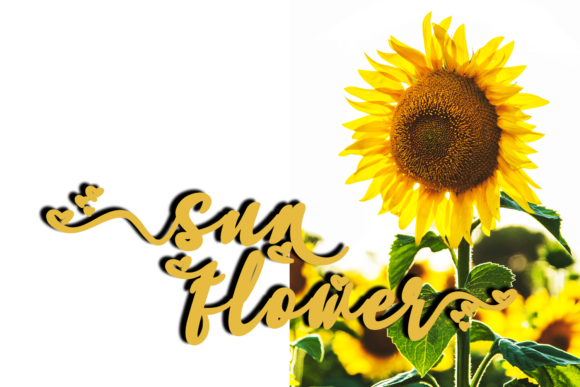 Hasnabilla Font - Preview 6