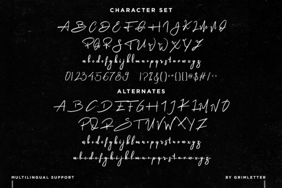 Ameliona Font - Preview 6