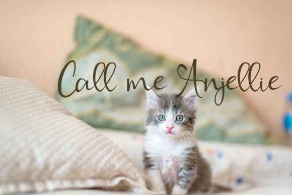 Anjellie Font - Preview 2