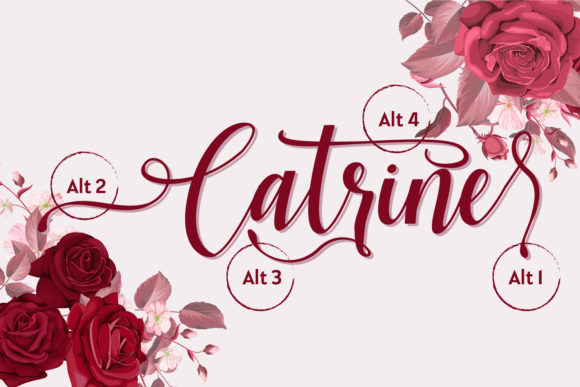 Catrine Font - Preview 6