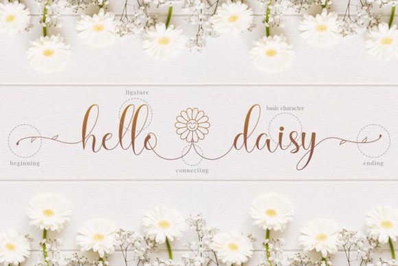 Hello Daisy Font - Preview 6