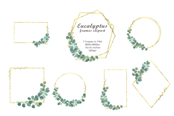 Watercolor Eucalyptus Frames Clipart Gráfico Elementos Decorativos Por colours_of_wind